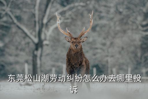 東莞仲裁委員會(huì)