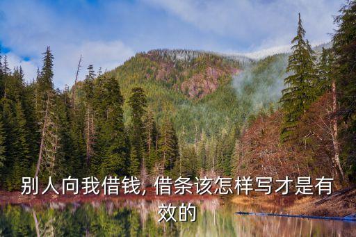 標(biāo)準(zhǔn)借條范本,2023正規(guī)借條范本圖片