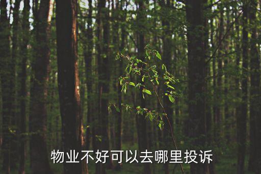  物業(yè)不好可以去哪里投訴