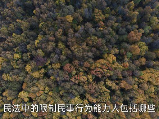 限制行為能力，民法中的限制民事行為能力人包括哪些