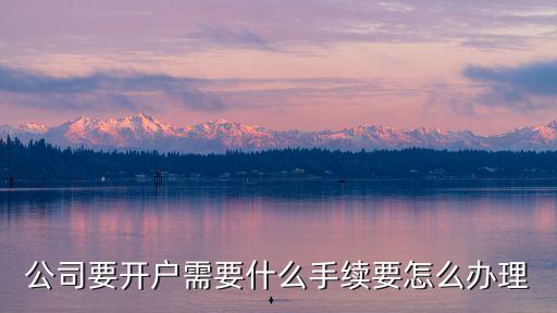 公司開戶流程，公司要開戶需要什么手續(xù)要怎么辦理