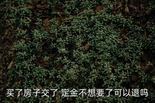 買房交的定金能退回來嗎,買房定金不退去哪投訴