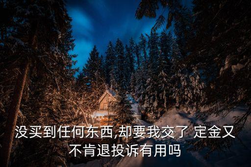 沒買到任何東西,卻要我交了 定金又不肯退投訴有用嗎