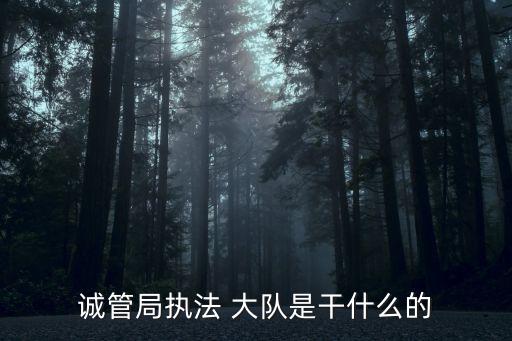 誠管局執(zhí)法 大隊是干什么的