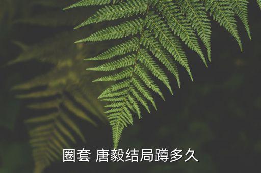 圈套 唐毅結(jié)局蹲多久