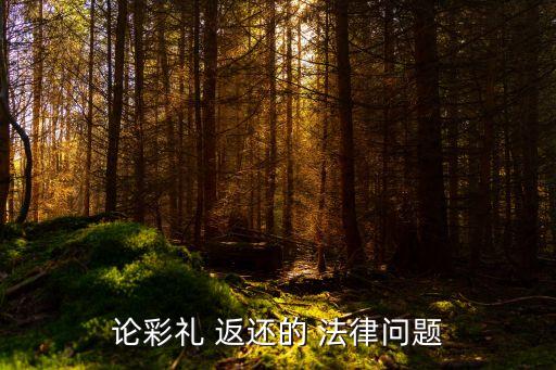 共同返還的法律規(guī)定,返還不當?shù)美姆梢?guī)定