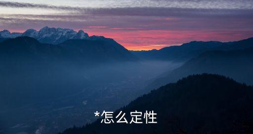*的定義是什么，怎樣定義經(jīng)濟*