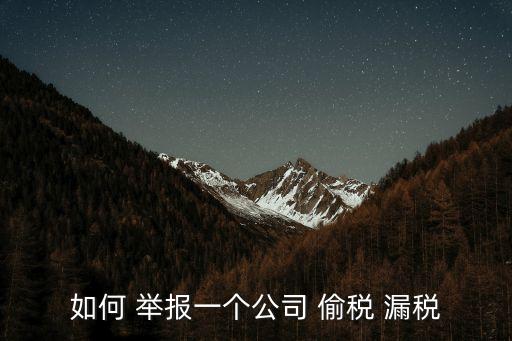 如何 舉報(bào)一個(gè)公司 偷稅 漏稅