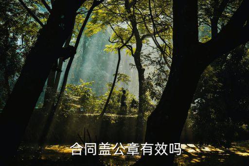 合同章蓋在什么時候有法律