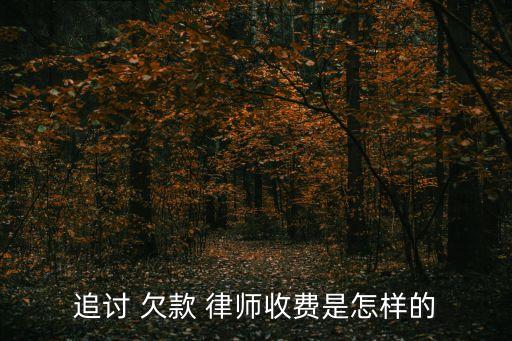 欠款律師費(fèi)用收取標(biāo)準(zhǔn),律師要債10萬(wàn)一般多少提成