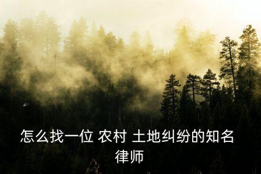 怎么找一位 農(nóng)村 土地糾紛的知名 律師