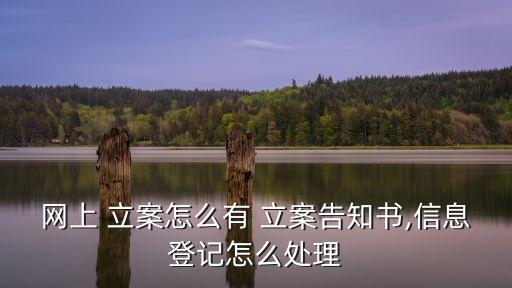 立案回執(zhí)單圖片,什么是立案回執(zhí)單
