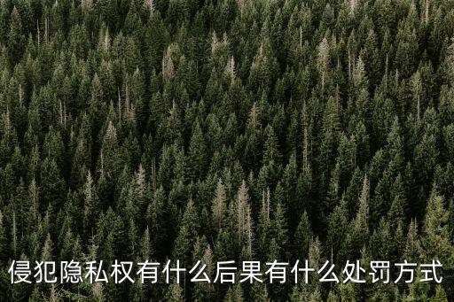 侵犯隱私權(quán)，侵犯他人隱私權(quán) 要負(fù)什么樣的法律責(zé)任