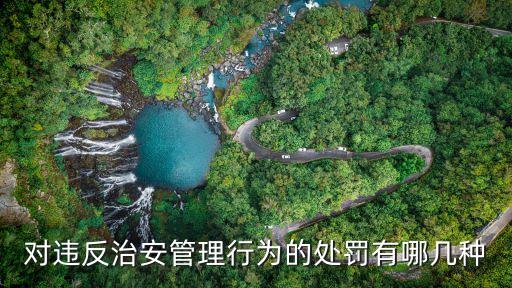 治安處罰，對違反治安管理行為的處罰有哪幾種