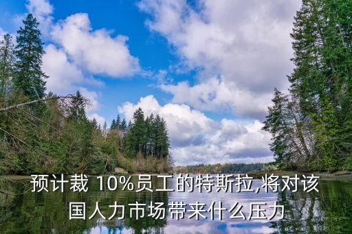 公司裁員10%