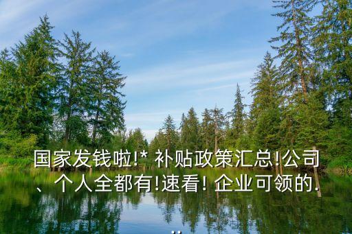 企業(yè)可以申請哪些補貼,國家對企業(yè)補貼最新政策