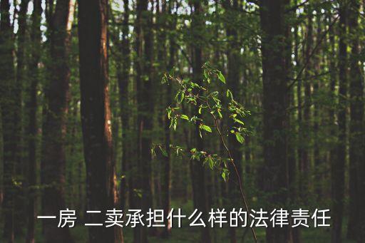 一房二賣(mài)的法律后果 合同*,一房?jī)少u(mài)如何判決處理