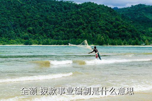 全額撥款