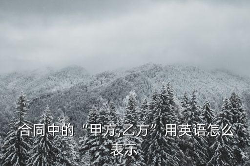 法律合同翻譯術(shù)語(yǔ)怎么寫(xiě),英文合同翻譯常見(jiàn)術(shù)語(yǔ)