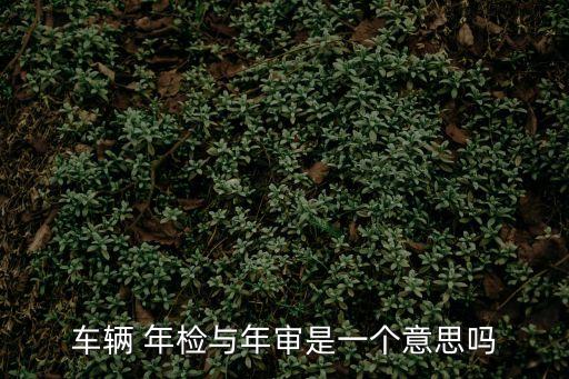 年審和年檢的區(qū)別,代辦年檢一般多少錢
