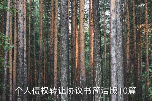 個人債務(wù)聲明范本,債務(wù)與公司無關(guān)聲明范本