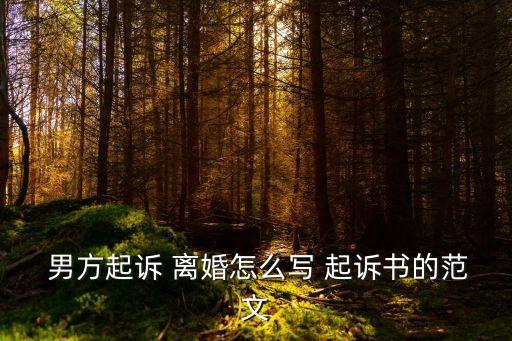 男方離婚起訴書完整版,怎么起訴離婚最快最簡(jiǎn)單