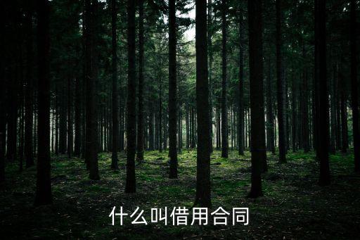 借用合同，借用合同屬于要物合同對嗎