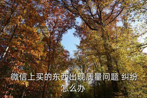 微信買賣有糾紛怎么起訴對(duì)方