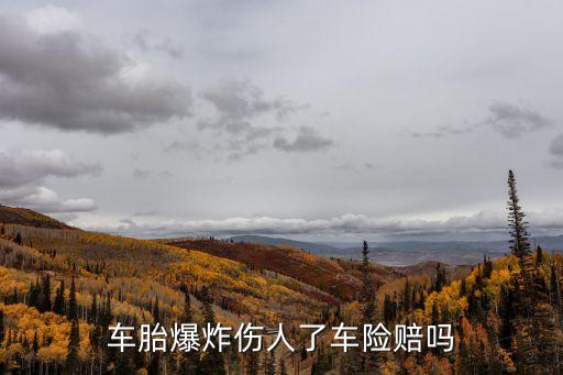 爆胎保險(xiǎn)公司賠嗎，汽車輪胎爆了保險(xiǎn)公司賠嗎