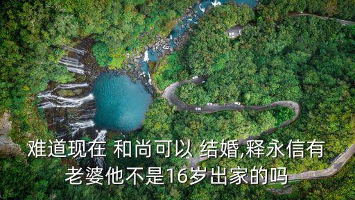 難道現(xiàn)在 和尚可以 結(jié)婚,釋永信有老婆他不是16歲出家的嗎