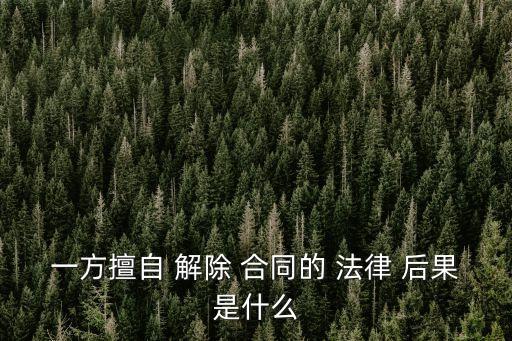 一方擅自 解除 合同的 法律 后果是什么