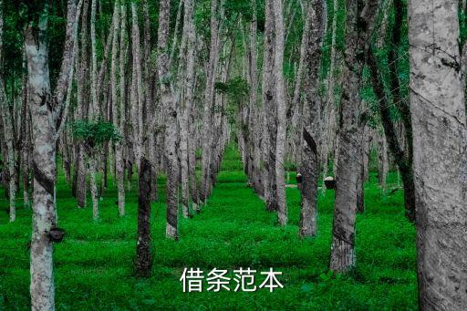 怎樣寫借條，正確的借條格式該怎么寫
