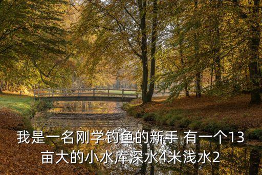 應(yīng)朝陽，本人女性1973年屬牛的五行屬相是土按出生年月五行命理是木