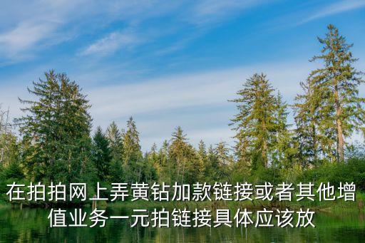 在拍拍網(wǎng)上弄黃鉆加款鏈接或者其他增值業(yè)務(wù)一元拍鏈接具體應(yīng)該放