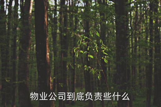 物業(yè)的職責，小區(qū)物業(yè)的具體職能是什么