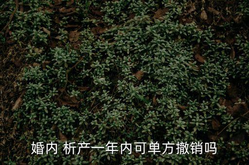 析產(chǎn)協(xié)議可以推翻嗎