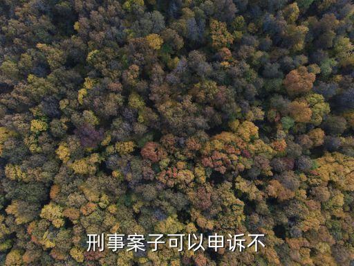 刑事申訴，刑事案子可以申訴不
