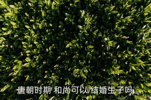 和尚能結(jié)婚嗎,劍網(wǎng)三和尚能結(jié)婚嗎