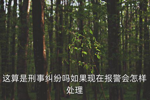 這算是刑事糾紛嗎如果現(xiàn)在報警會怎樣處理