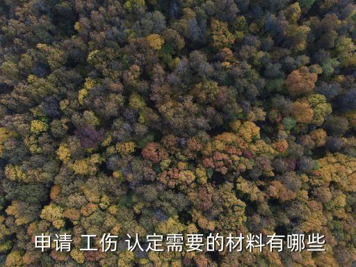 工傷認(rèn)定申請(qǐng)