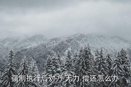 強(qiáng)制執(zhí)行后對(duì)方 無(wú)力 償還怎么辦