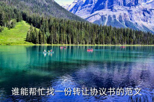 誰(shuí)能幫忙找一份轉(zhuǎn)讓協(xié)議書(shū)的范文