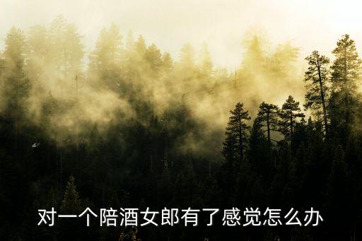 陪酒女郎，根據(jù)香港法律陪酒女郎是否合法
