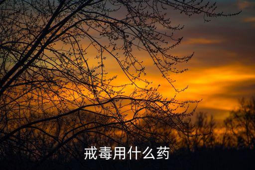戒毒藥，戒毒用什么藥