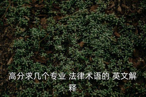 高分求幾個(gè)專業(yè) 法律術(shù)語的 英文解釋