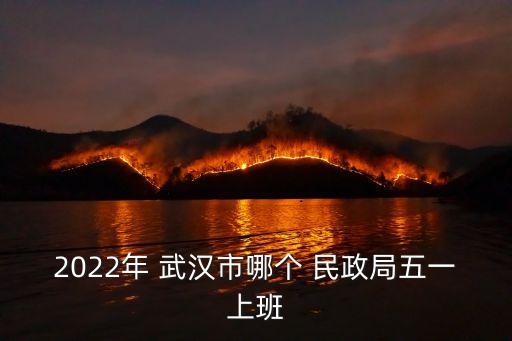武漢市民政局