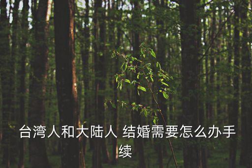 臺灣結(jié)婚