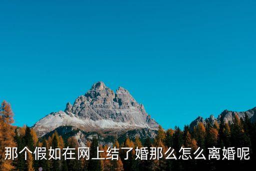 網(wǎng)上離婚怎么離，手機(jī)家園怎么離婚