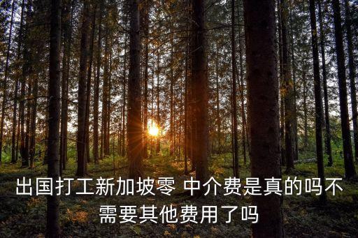 零中介