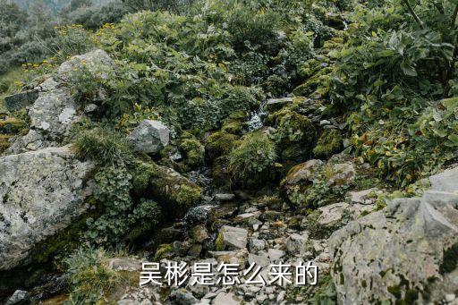 吳彬，吳彬是怎么來的
